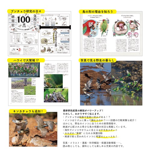 とことんブンチョウ、インコ・オウム – 丸善ジュンク堂書店ネットストア