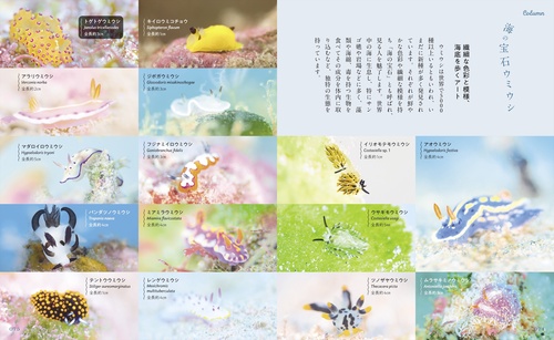 神秘的で美しい海の生きもの図鑑 – 丸善ジュンク堂書店ネットストア