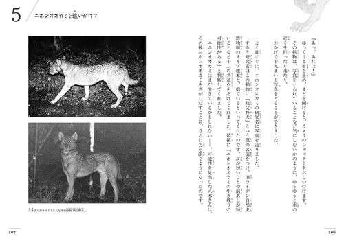 まぼろしの動物 ニホンオオカミ – 丸善ジュンク堂書店ネットストア