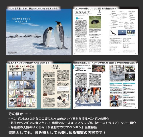 ペンギン 4806021926802.jpg