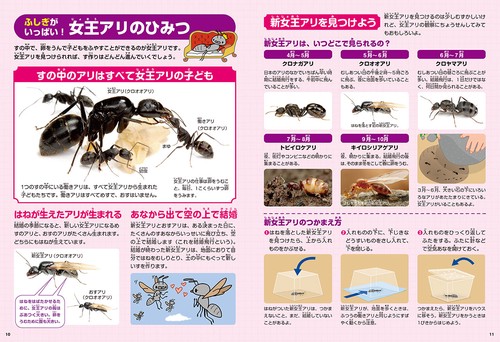ふしぎの国のアリのすハウス 改訂版 – 丸善ジュンク堂書店ネットストア