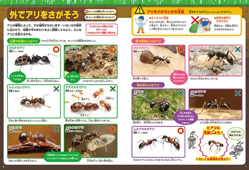 ふしぎの国のアリのすハウス 改訂版 – 丸善ジュンク堂書店ネットストア
