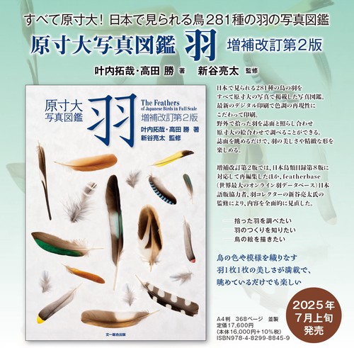 原寸大写真図鑑 羽 増補改訂第2版 – 丸善ジュンク堂書店ネット