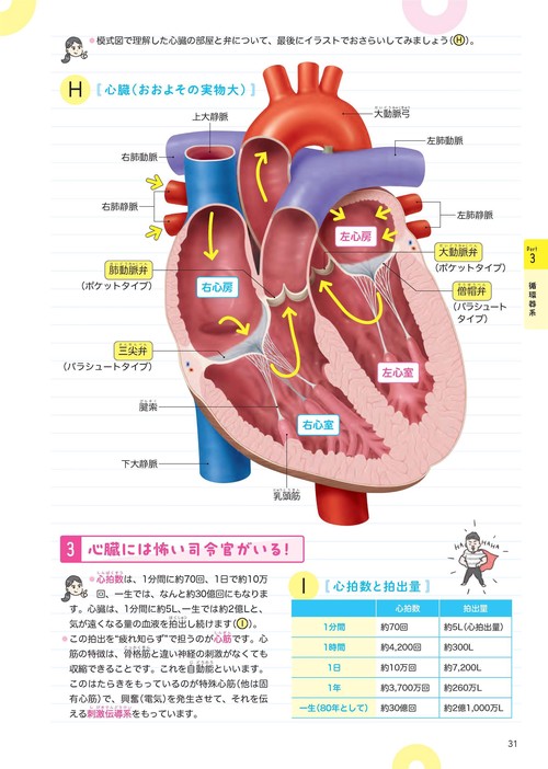 おもしろくなる解剖生理 – 丸善ジュンク堂書店ネットストア