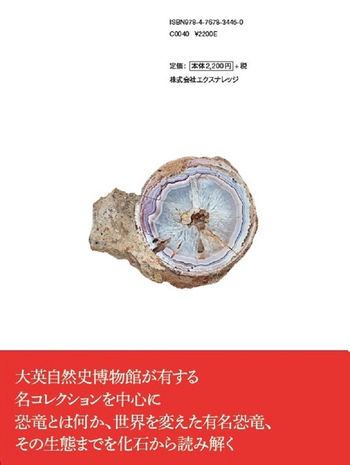 大英自然史博物館の恐竜化石 – 丸善ジュンク堂書店ネットストア