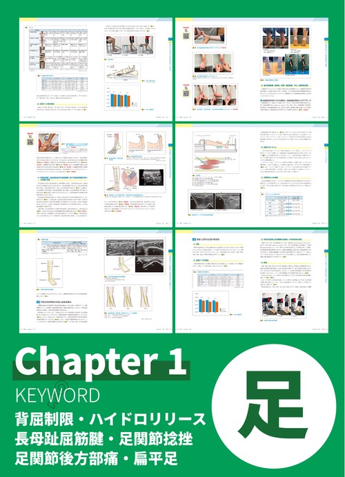 理学療法超音波学 vol.3 – 丸善ジュンク堂書店ネットストア
