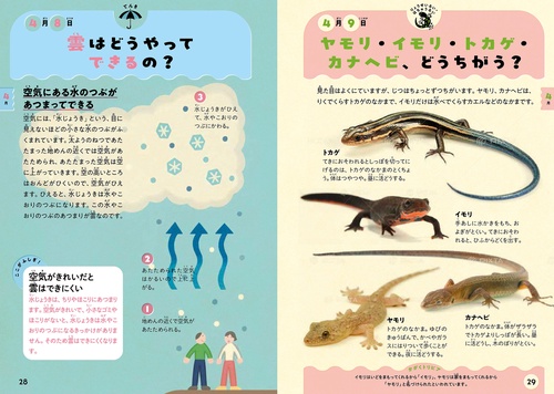 ぽん Amazon.co.jp: 366日でかがくはかせ! 自分で学ぶ力を育てるずかん