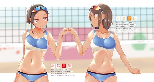 青春ブタ野郎はビーチクイーンの夢を見ない＋ – 丸善ジュンク堂書店