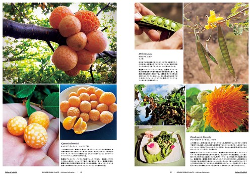 世界の食用植物図鑑 ―BIZZARE EDIBLE PLANTS― – 丸善ジュンク堂