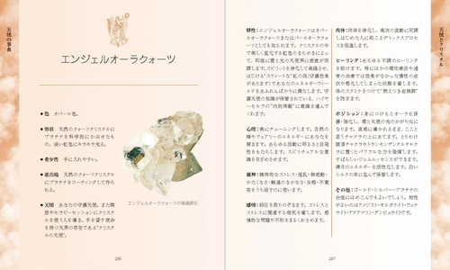 新装 エンジェルバイブル – 丸善ジュンク堂書店ネットストア