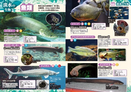水中生物大図鑑 – 丸善ジュンク堂書店ネットストア