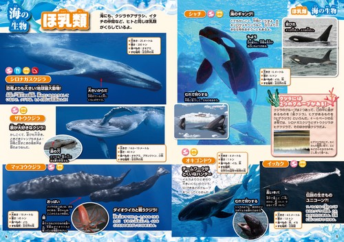 水中生物大図鑑 – 丸善ジュンク堂書店ネットストア