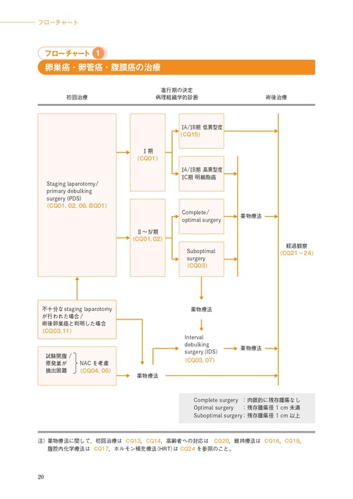 卵巣がん・卵管癌・腹膜癌治療ガイドライン 2025年版 – 丸善ジュンク堂