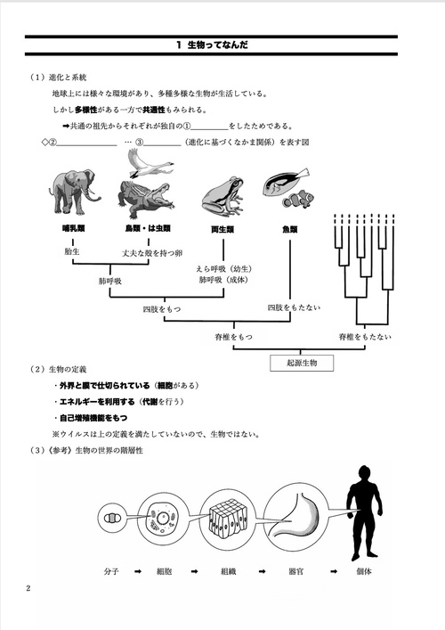 ここみらい大学受験 KOKO BASIC BIOLOGY 生物基礎 – 丸善ジュンク堂