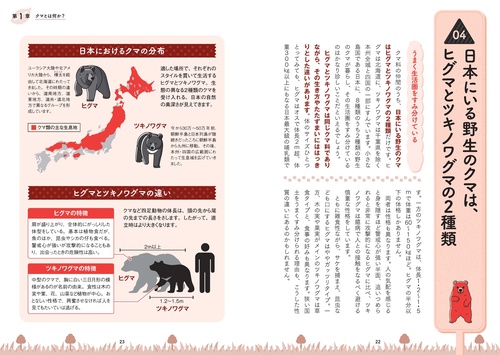 眠れなくなるほど面白い 図解 クマの話 – 丸善ジュンク堂書店ネットストア