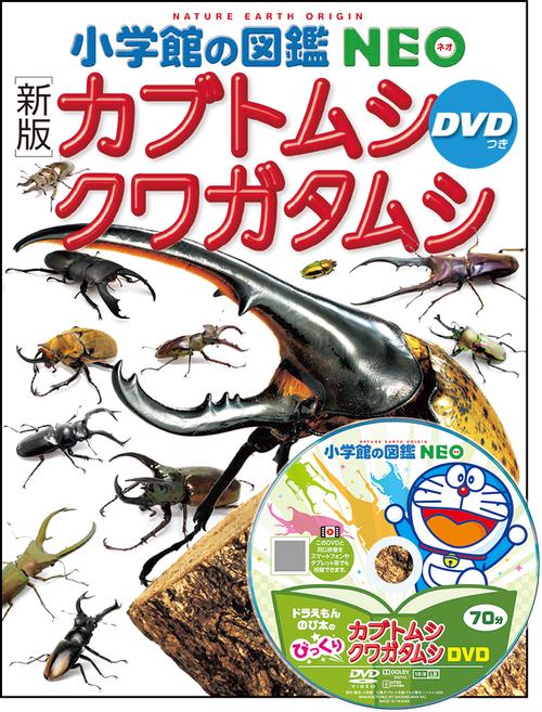 新版］カブトムシ・クワガタムシ DVDつき – 丸善ジュンク堂書店ネット