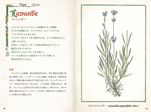 中世の庭の薬草事典 – 丸善ジュンク堂書店ネットストア