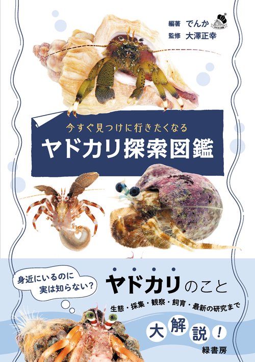 今すぐ見つけに行きたくなるヤドカリ探索図鑑 – 丸善ジュンク堂書店