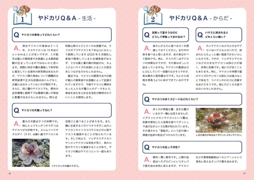 今すぐ見つけに行きたくなるヤドカリ探索図鑑 – 丸善ジュンク堂書店