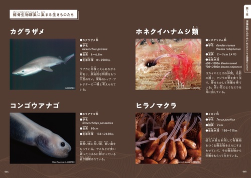 深海のふしぎ 海深くから地球のなぞにせまる (楽しい調べ学習シリーズ) 深海のふしぎ 海深くから地球のなぞにせまる (楽しい調べ学習シリーズ