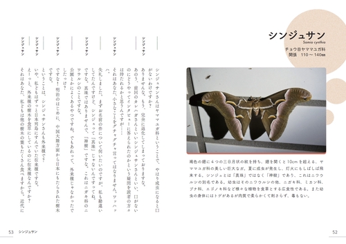 擬態する生物のきもち – 丸善ジュンク堂書店ネットストア