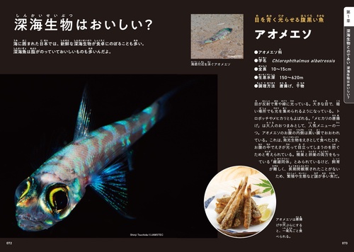 深海のふしぎ 海深くから地球のなぞにせまる (楽しい調べ学習シリーズ) 深海のふしぎ 海深くから地球のなぞにせまる (楽しい調べ学習シリーズ