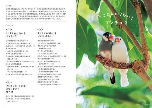 とことんブンチョウ、インコ・オウム – 丸善ジュンク堂書店ネットストア
