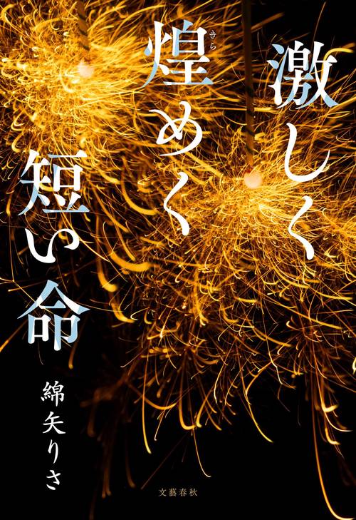 日本料理歳時記　趣　4冊セット／丸善メイツ 日本料理歳時記 趣 4冊セット／丸善メイツ