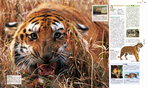 世界の動物 大図鑑【コンパクト版】 – 丸善ジュンク堂書店ネットストア