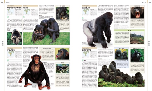 世界動物大図鑑 世界動物大図鑑 - メルカリ