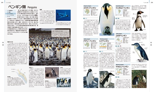 世界の動物 大図鑑【コンパクト版】 – 丸善ジュンク堂書店ネットストア