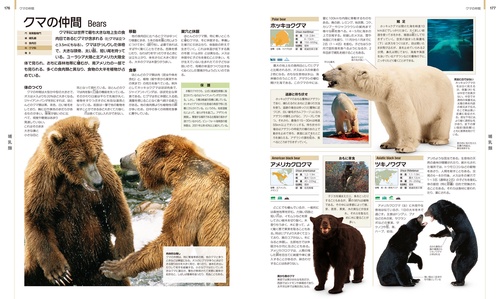 世界の動物 大図鑑【コンパクト版】 – 丸善ジュンク堂書店ネット