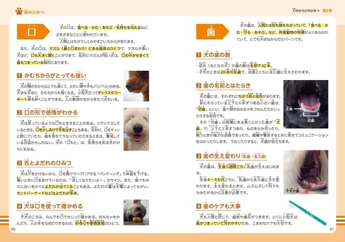 みんなが知りたい! 犬のすべて すごい能力や歴史から人とのつながり