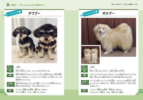 みんなが知りたい! 犬のすべて すごい能力や歴史から人とのつながり