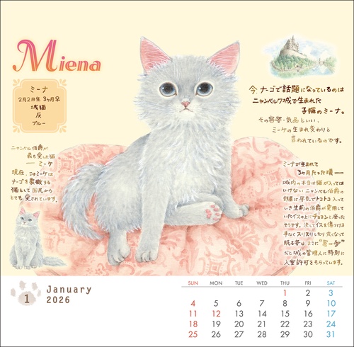 メルカリで24時間以内に売れなければ300円❗️「みんな待ってる花猫ニャンコ」 メルカリで24時間以内に売れなければ300円 「みんな待ってる花猫