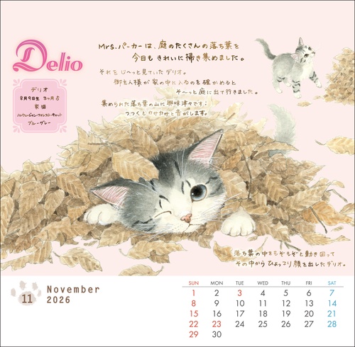 メルカリで24時間以内に売れなければ300円❗️「みんな待ってる花猫ニャンコ」 メルカリで24時間以内に売れなければ 「みんな待ってる花猫