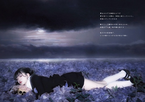 The Beginning of Suicide – 丸善ジュンク堂書店ネットストア