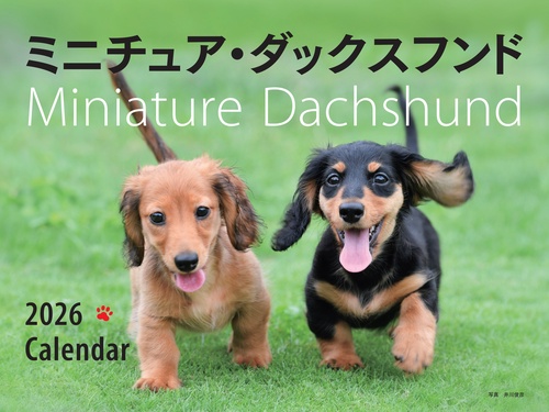 2026年カレンダー ワイド判 ミニチュア・ダックスフンド – 丸善
