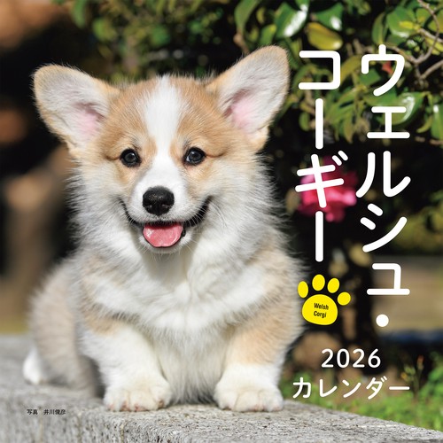 2026年カレンダー ウェルシュ・コーギー – 丸善ジュンク堂書店ネットストア