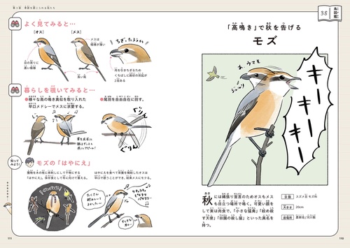 まだまだ！意外と知らない鳥の生活 – 丸善ジュンク堂書店ネットストア