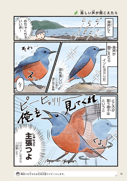 まだまだ！意外と知らない鳥の生活 – 丸善ジュンク堂書店ネットストア