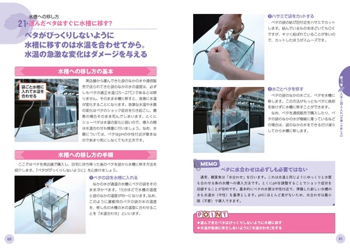 専門店が教える ベタの飼い方 飼育の基本から多彩な品種までよくわかる