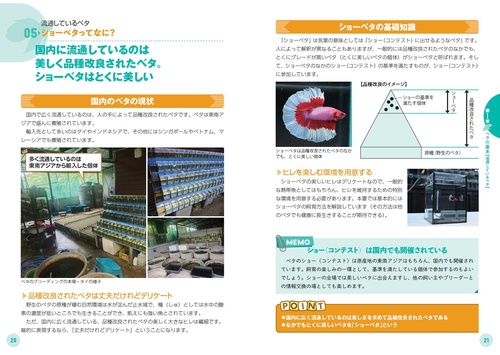 専門店が教える ベタの飼い方 飼育の基本から多彩な品種までよくわかる