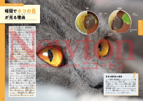 超絵解本 哺乳類の深い話 – 丸善ジュンク堂書店ネットストア