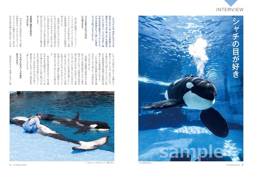シャチまるごとBOOK – 丸善ジュンク堂書店ネットストア