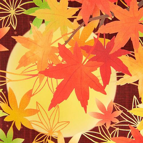 秋 箱形紅葉 グリーティングカード – 丸善ジュンク堂書店ネット