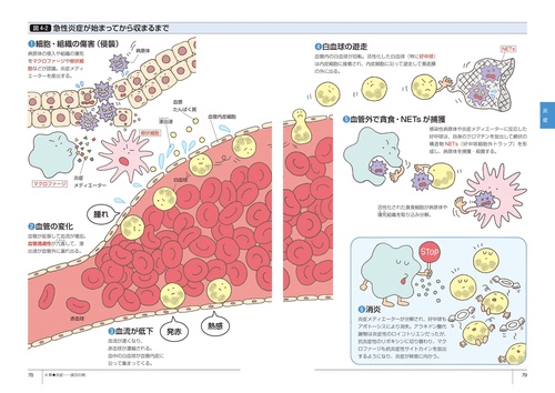 いちばんやさしい 病理学 – 丸善ジュンク堂書店ネットストア