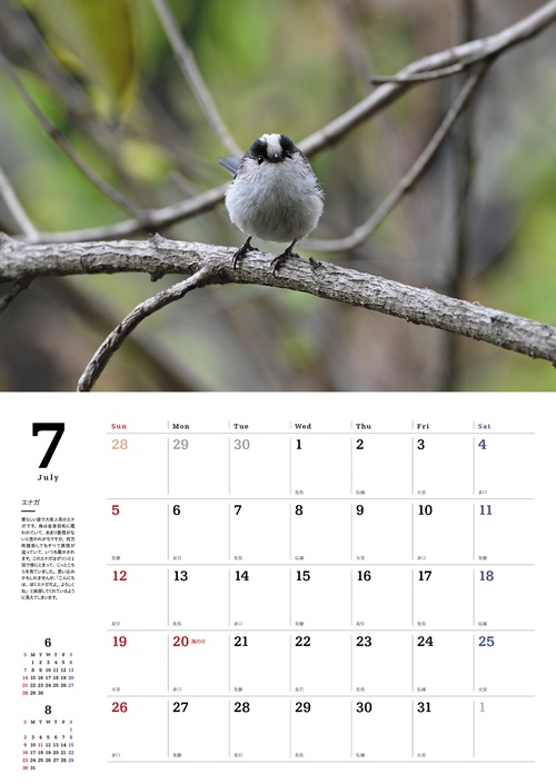 身近な野鳥カレンダー 2026 – 丸善ジュンク堂書店ネットストア