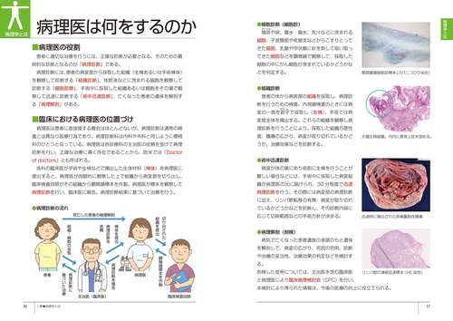 いちばんやさしい 病理学 – 丸善ジュンク堂書店ネットストア
