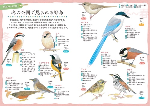 野鳥観察手帖2026 – 丸善ジュンク堂書店ネットストア